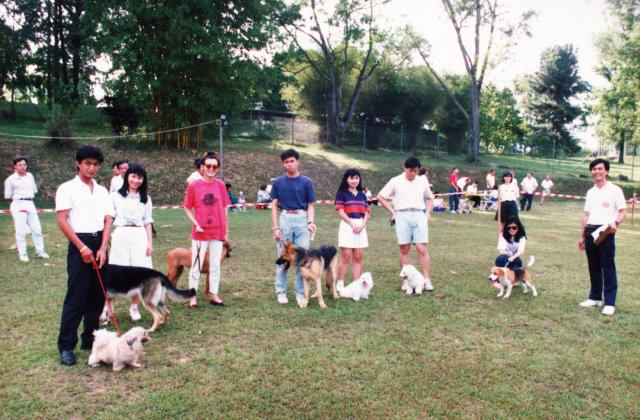 Dog Obedience Class
